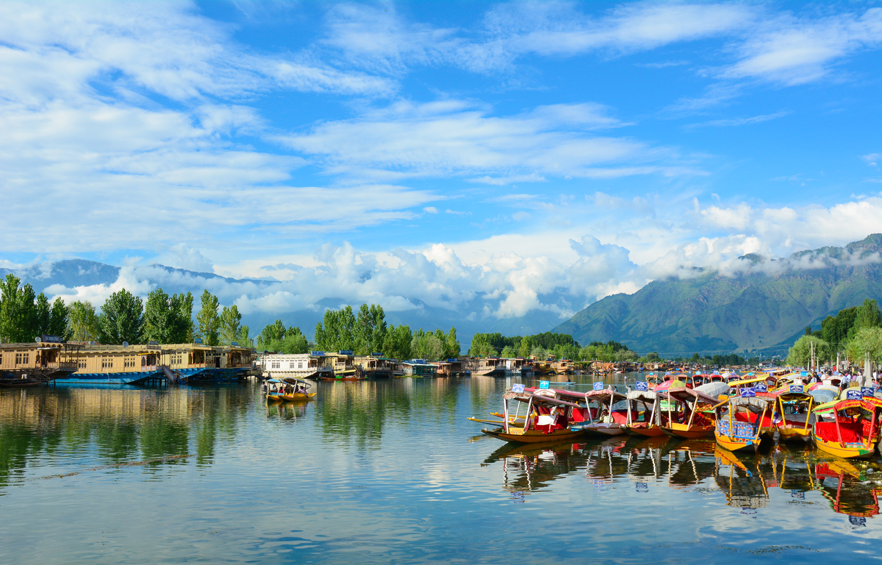 shikara boats on dal lake, srinagar