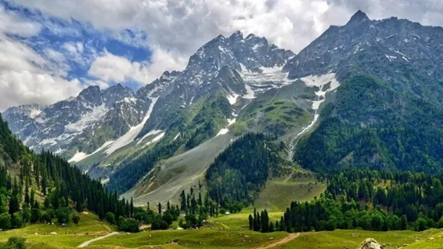 sonamarg brown chinar kashmir