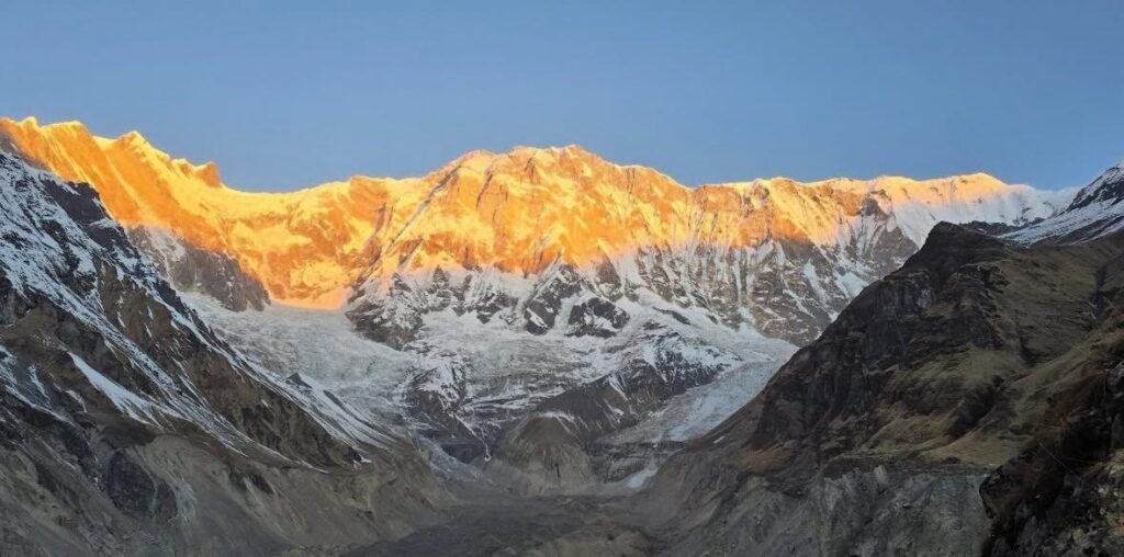whatsapp image 2026 01 23 at 12.33.02 pm (1)