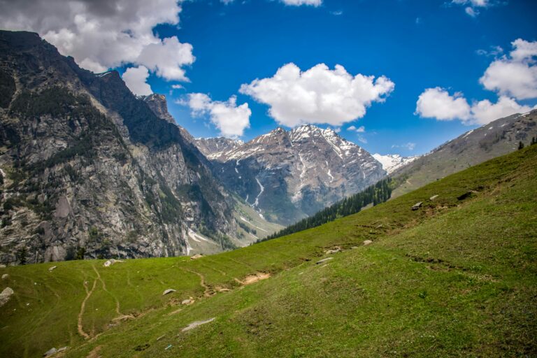 pexels ajaybhargavguduru 939714