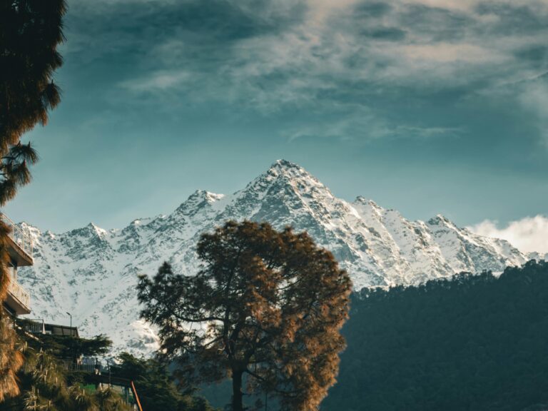 pexels chandra vardhan 37248321 (1)