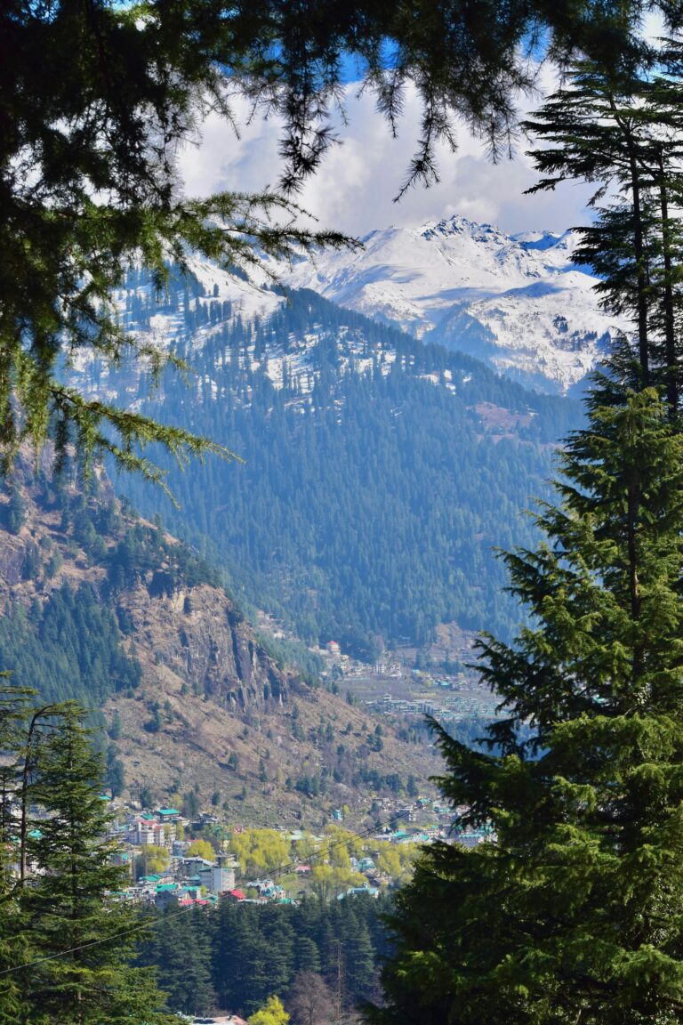 pexels dhruv khichi 27563587 15934092
