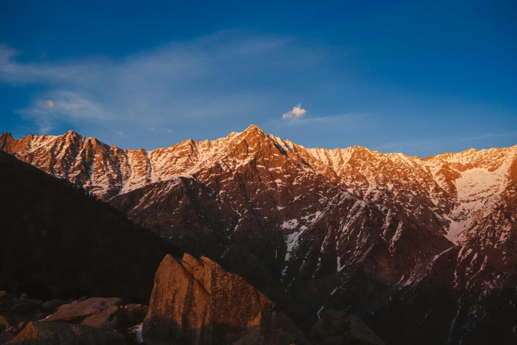 pexels henlynndsouza 7438614
