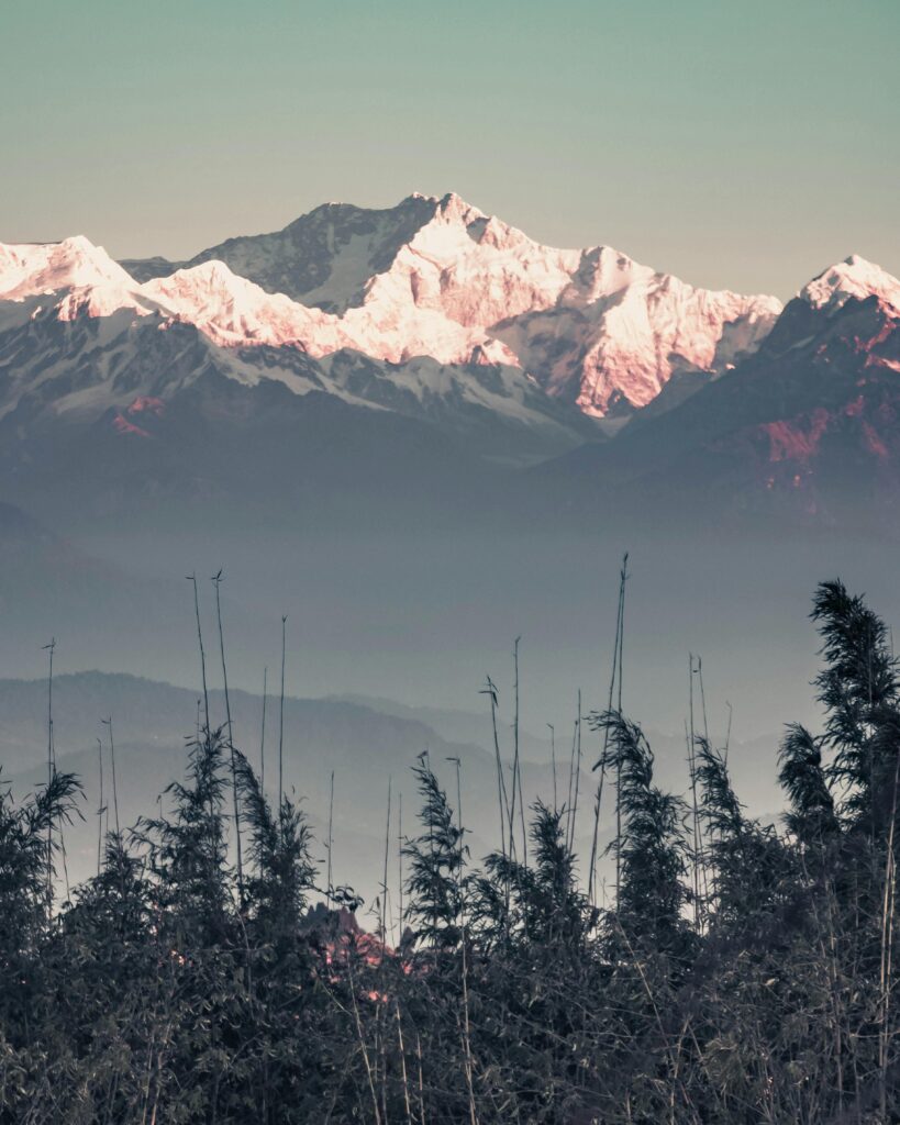 pexels vinayak khithani 2408962