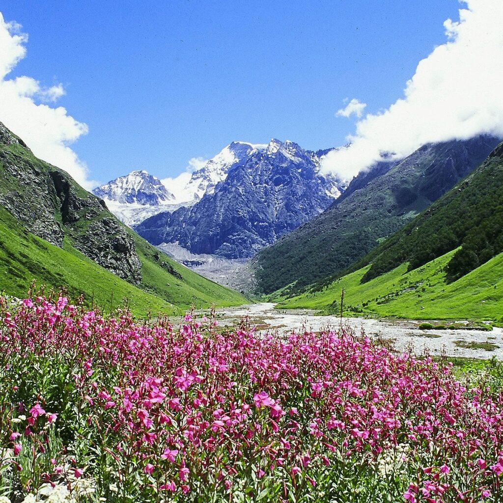 this image is valley